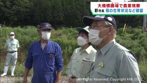 郡仙台市長が水稲生育状況など視察　大規模圃場整備の仙台市青葉区大倉地区