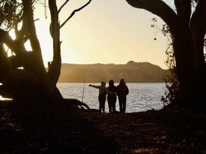 肩書きも一人暮らしの私も忘れたあの日。必要だった家族の温かさ