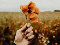 「気をつけて帰ってね」普段は敬語の先輩から急なタメ語にときめいた