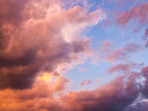 毎月生理が来ることは健康の証。世間の目も少し変わってくれたら