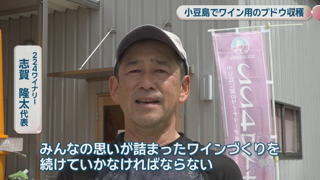 224ワイナリー／志賀隆太 代表