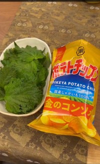 これをどうするの…？（ニッポン街歩き紀行）