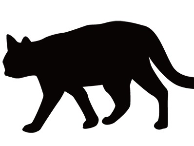 空き家に猫の頭部、花壇に下半身…動物愛護法違反の疑い