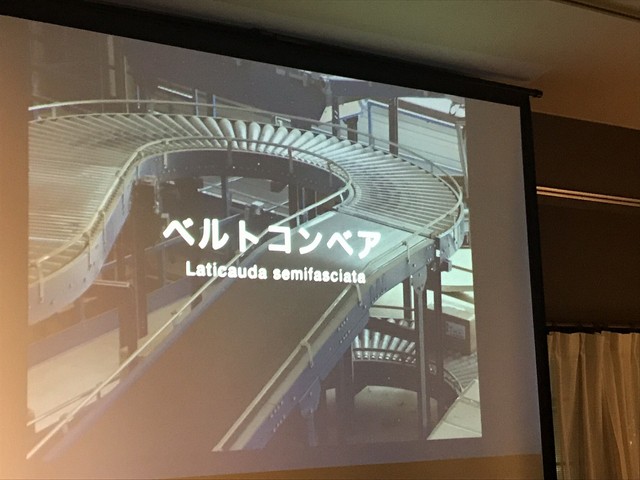 お題の書かれた画像が紹介されてから、写真の見立てが始まります