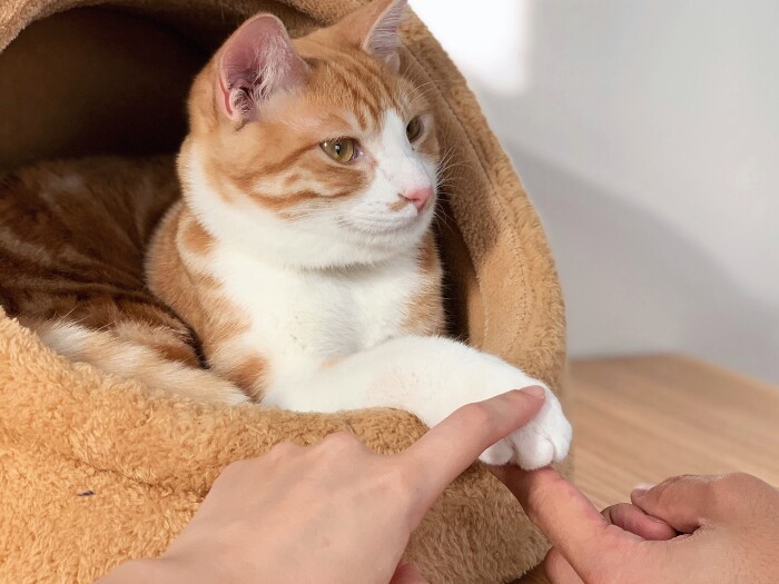 お兄ちゃんの貫禄（ゆりさん提供）

