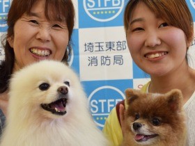 火事だ！　鳴いて知らせたポメラニアン２匹に感謝状、ご褒美も