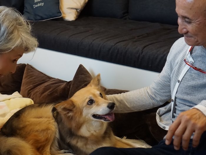 パパも好きなんだよな