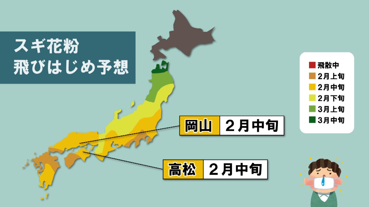 2歳でも 年々増える花粉症 専門家に聞く対策 Ksbニュース Ksb瀬戸内海放送