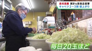 猛暑の影響でキャベツも高値　家計や飲食店を直撃