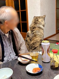 「分けてくれない…」すねて背中を向けるさん歩くん（画像提供：ぽっぽっぽー SANPOさん）