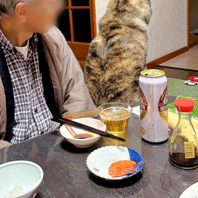 「分けてくれない…」すねて背中を向けるさん歩くん（画像提供：ぽっぽっぽー SANPOさん）