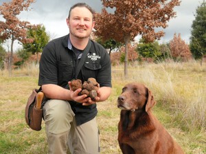 【地球をつまみ食い】ラブラドールをお供に宝探し！　豪州のトリュフ狩りが最高すぎた