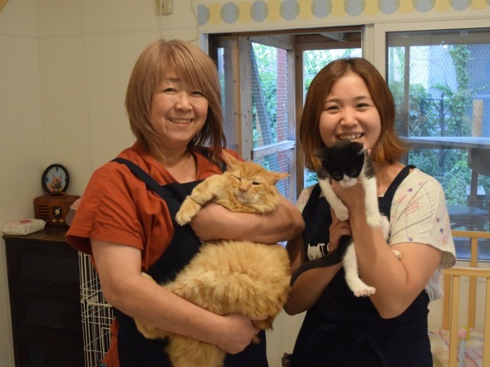 ツキネコカフェで保護している猫を抱く吉井美穂子さん（左）と滝澤礼奈さん