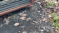 見えますか？蜘蛛の糸（ねりぞうさん提供）