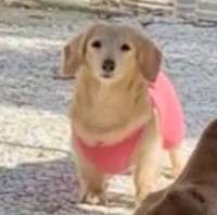 「……。」（画像提供：ほんわか姉妹さん）