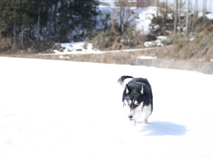 これでもうれしくて仕方ない顔