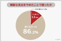 無駄な支出をやめたことで困ったことがある人（提供画像）
