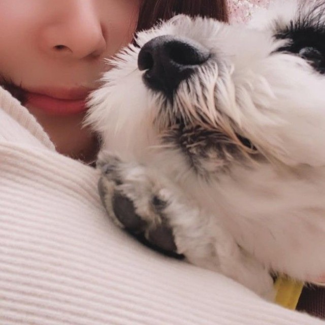 あつみさんと愛犬わらびちゃん