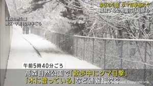 仙台・泉区の公園でクマの目撃情報相次ぐ　隣接する幼稚園の敷地内にも足跡