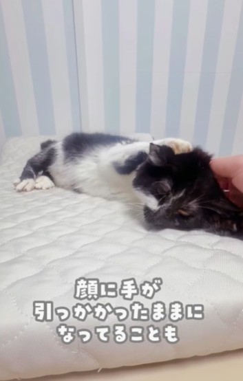 顔を洗ったりしても顔に手が引っ掛かってしまうことも（かごねこさん提供、Instagramよりキャプチャ撮影）