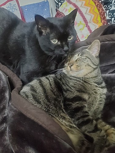 「寒い時はこんな風にね」