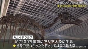 恐竜特別展　東北初公開「カムイサウルス」の骨格標本も！　仙台市科学館