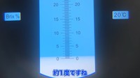 色が濃い方の樹液の糖度は約1度／ちーとん。さん提供