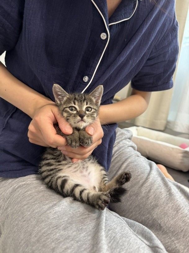 100日記念をお祝いした日