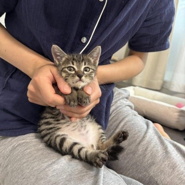 100日記念をお祝いした日