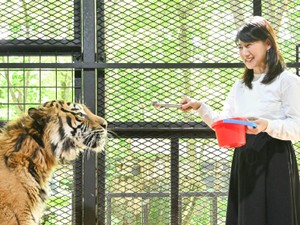 大竹耕太郎投手の不敗神話崩壊。不条理にすがる自分を戒めた「シーシュポスの神話」　中江有里