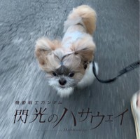 リプ欄に寄せられた劇場ポスター風こじろうくん（提供：こじろうのかいぬしさん）