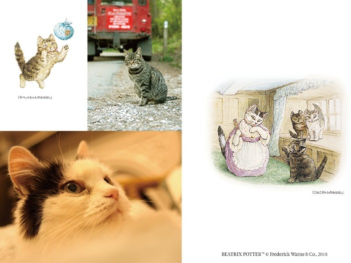 「ピーターラビットの仲間たち　写真集」から。辰巳出版提供