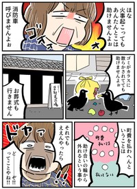 【漫画】『インバウンドと私』11（あさのゆきこさん提供）