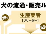 犬の大量遺棄事件が相次ぐわけ