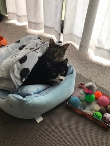 珍しい宮ちゃんとタルト君の２ショット（千鶴代さん提供）