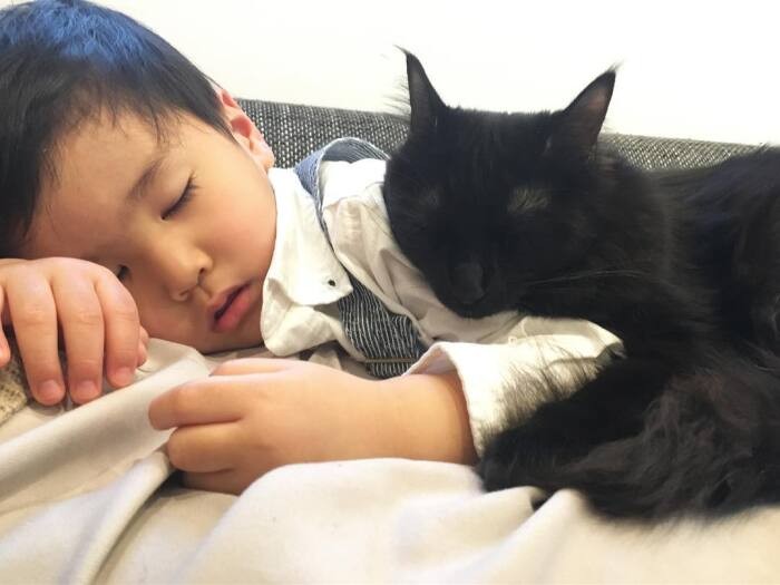 一緒にうとうと