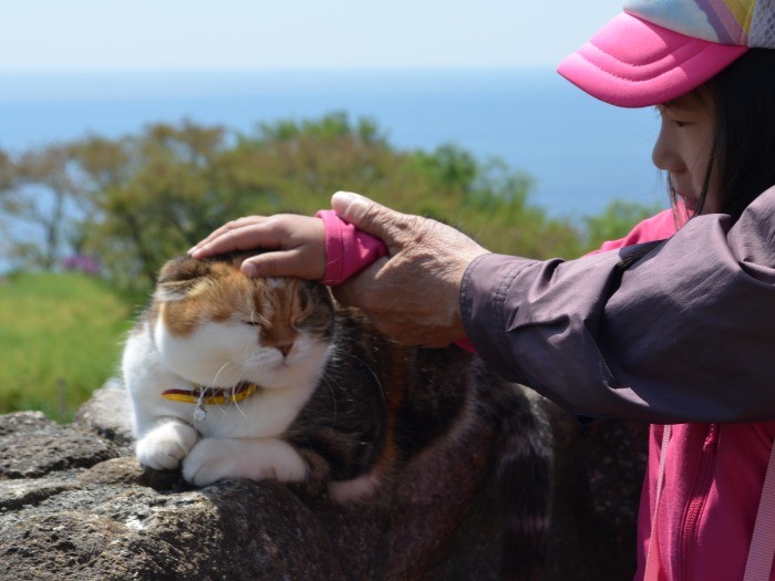 海が見える公園でチャミは人気者だ