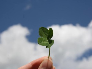 今すぐ恋人になれるのに、出会ったきっかけの就活が私たちを苦しめる