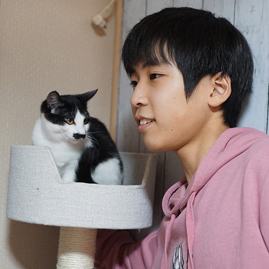 ヒゲ模様の夏目君。お母さんと保護し、無事に家族が見つかりました