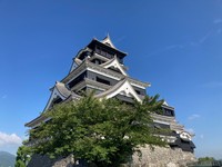 青空に映える熊本城。暑そうだ。【写真提供：熊本城総合事務所】