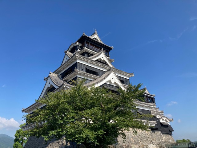 青空に映える熊本城。暑そうだ。【写真提供：熊本城総合事務所】