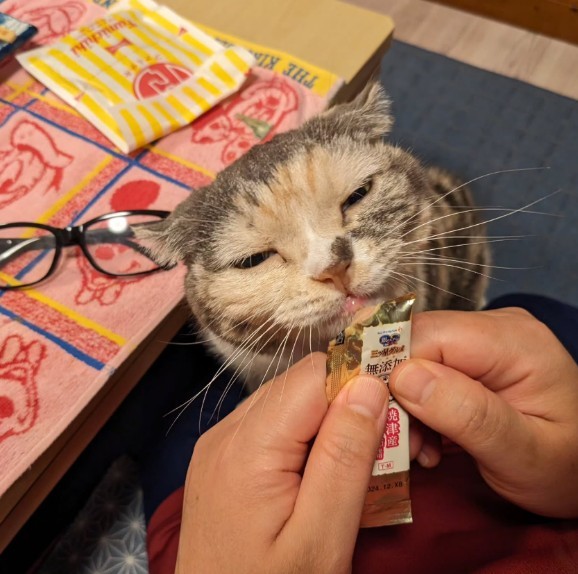 いい子で通院を頑張ってくれた