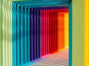 私が持つ、文字やイラストに色がついて見える「共感覚」。役に立たないけど、受け入れた