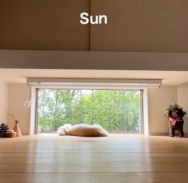 日曜日、配達員さん来ないな〜（提供：@vngomanori503さん）
