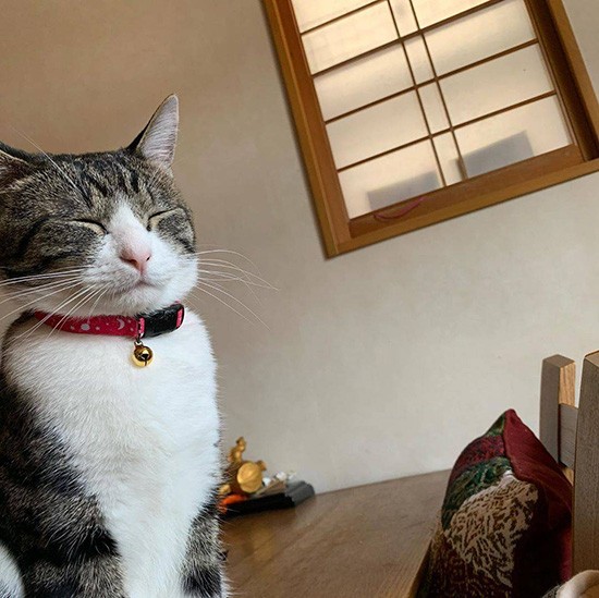 座ったままこっくり、こっくり