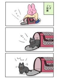 【漫画】『黒猫ちゃんと初めて会った日の思い出』4（なおにゃんさん提供）