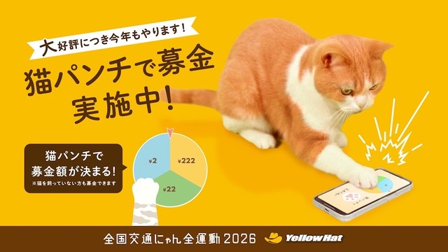 スマホから寄付できるイエローハットの「猫パンチ募金」。なんと！お家の中でぬくぬくしている「猫ちゃん」も安全に参加できます（画像提供：イエローハット）