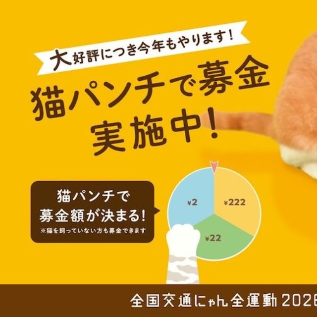 スマホから寄付できるイエローハットの「猫パンチ募金」。なんと！お家の中でぬくぬくしている「猫ちゃん」も安全に参加できます（画像提供：イエローハット）