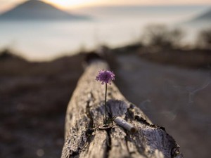 ドタイプの彼は会社の大学生バイト。私はヤリたくて、一線を超えた…