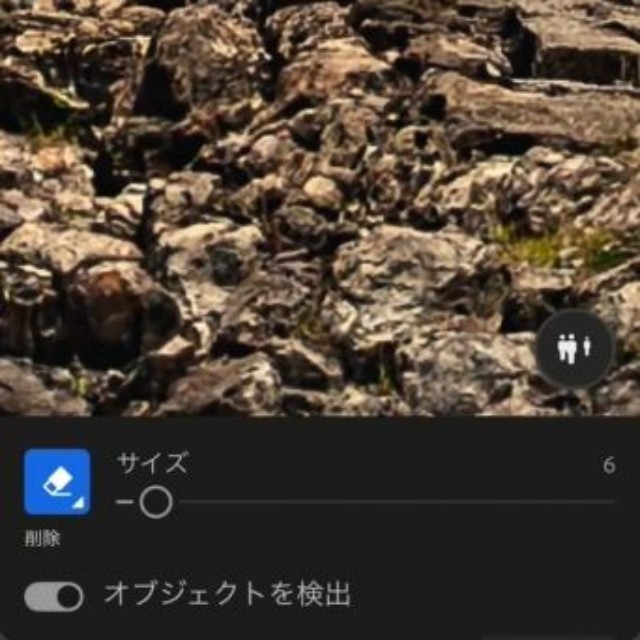 僧侶に見える人影のアップ（宮田森さん提供）